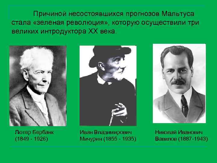 Причиной несостоявшихся прогнозов Мальтуса стала «зеленая революция» , которую осуществили три великих интродуктора XX