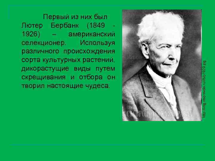 http: //img. stapravda. ru/i/b/p 1920. jpg Первый из них был Лютер Бербанк (1849 1926)