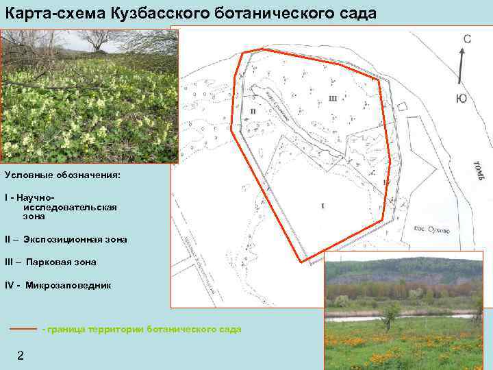 Карта-схема Кузбасского ботанического сада Условные обозначения: I - Научноисследовательская зона II – Экспозиционная зона