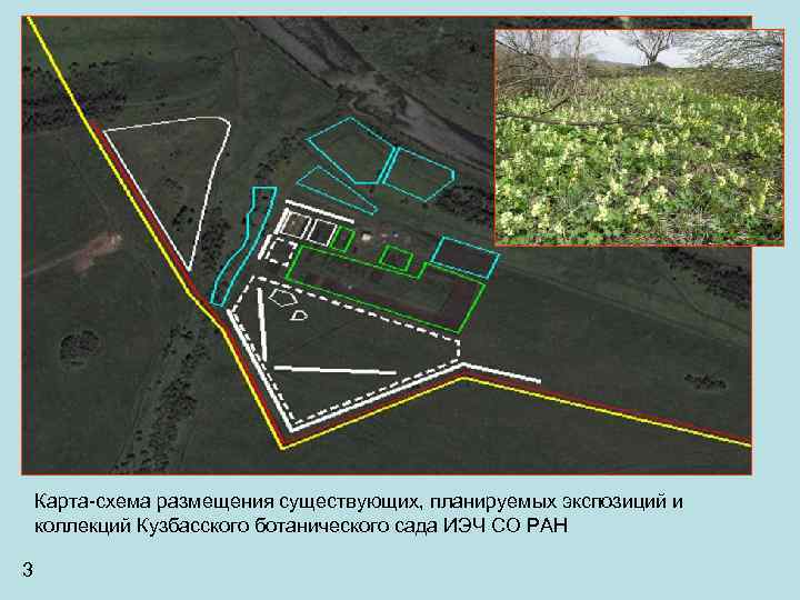 Карта-схема размещения существующих, планируемых экспозиций и коллекций Кузбасского ботанического сада ИЭЧ СО РАН 3