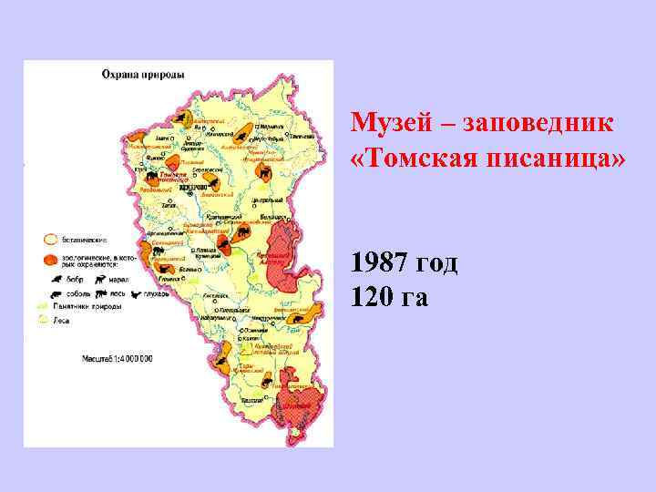 Презентация заказники кемеровской области