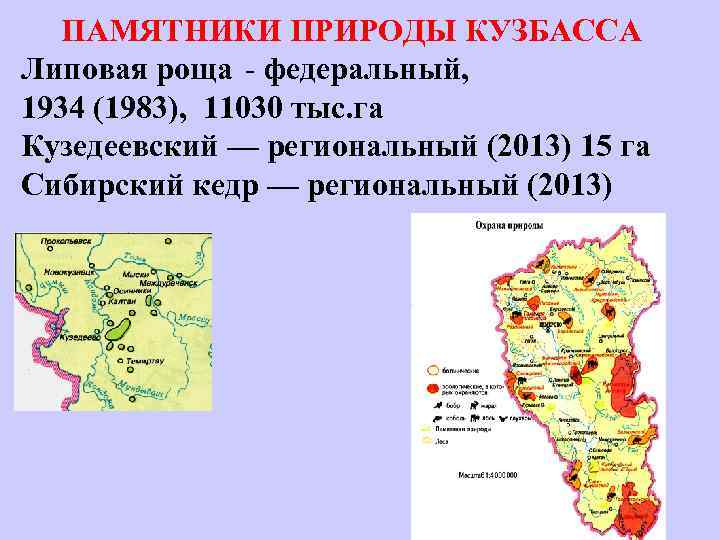 ПАМЯТНИКИ ПРИРОДЫ КУЗБАССА Липовая роща - федеральный, 1934 (1983), 11030 тыс. га Кузедеевский —