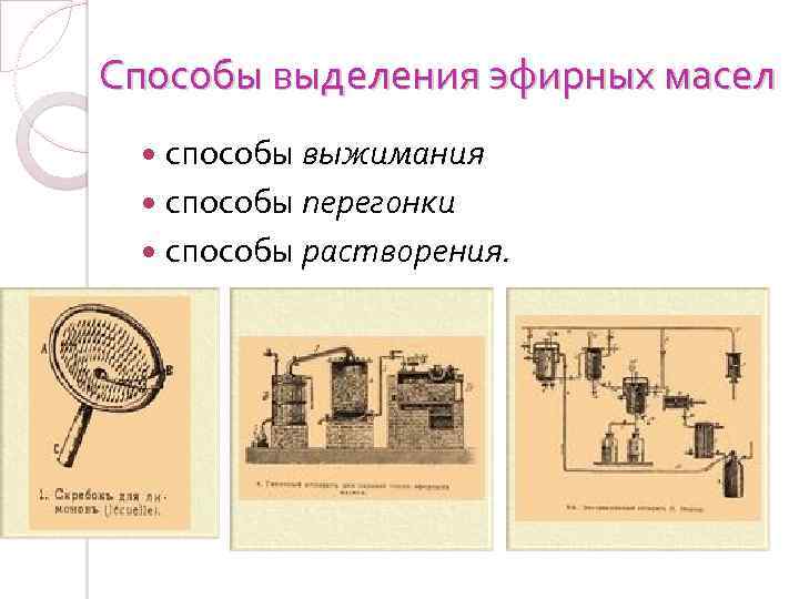 Способы выделения эфирных масел способы выжимания способы перегонки способы растворения. 