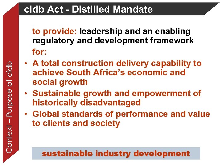 Context – Purpose of cidb Act - Distilled Mandate to provide: leadership and an