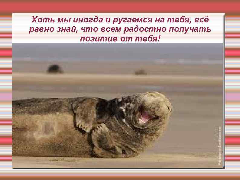 Хоть мы иногда и ругаемся на тебя, всё равно знай, что всем радостно получать