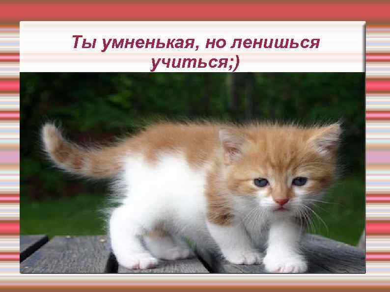Ты умненькая, но ленишься учиться; ) 