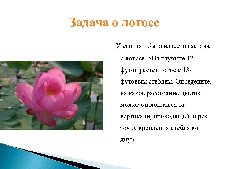 Задача о лотосе У египтян была известна задача о лотосе. «На глубине 12 футов