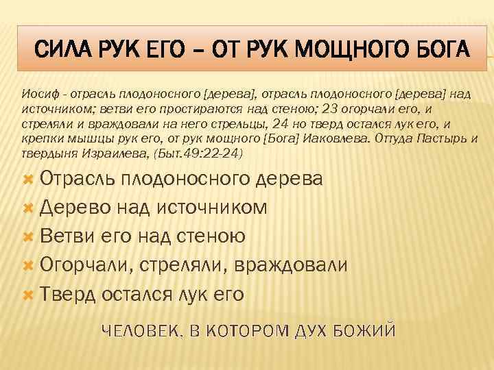 СИЛА РУК ЕГО – ОТ РУК МОЩНОГО БОГА Иосиф - отрасль плодоносного [дерева], отрасль