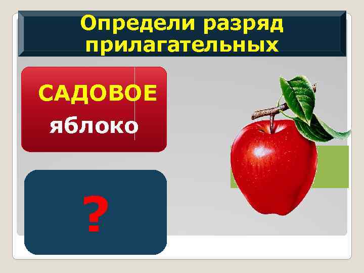 Определи разряд прилагательных САДОВОЕ яблоко ? 