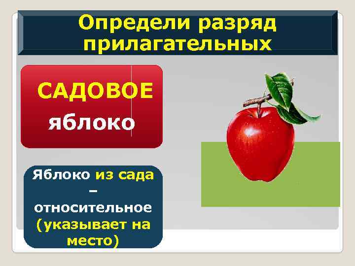 Определи разряд прилагательных САДОВОЕ яблоко Яблоко из сада – относительное (указывает на место) 