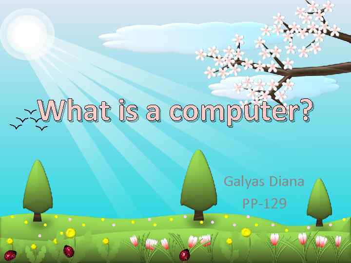 What is a computer? Galyas Diana PP-129 