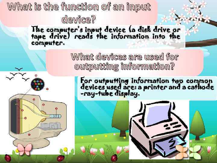 What is the function of an input device? The computer’s input device (a disk