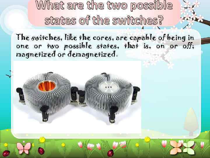 What are the two possible states of the switches? The switches, like the cores,