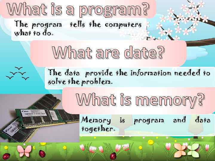 What is a program? The program what to do. tells the computers What are