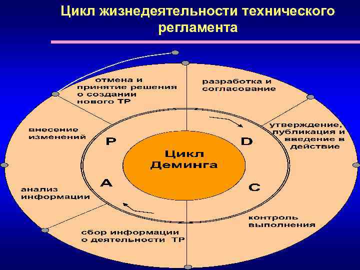 Цикл жизнедеятельности технического регламента 