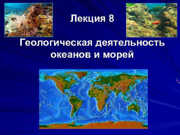 Лекция 8 Геологическая деятельность океанов и морей 