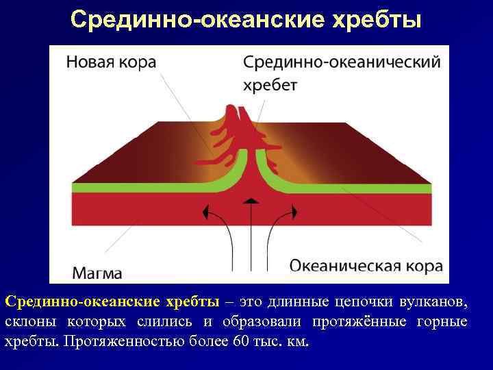 Срединно-океанские хребты – это длинные цепочки вулканов, склоны которых слились и образовали протяжённые горные