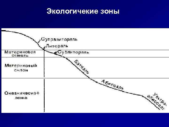 Экологичекие зоны 