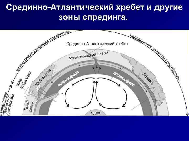 Срединно-Атлантический хребет и другие зоны спрединга. 