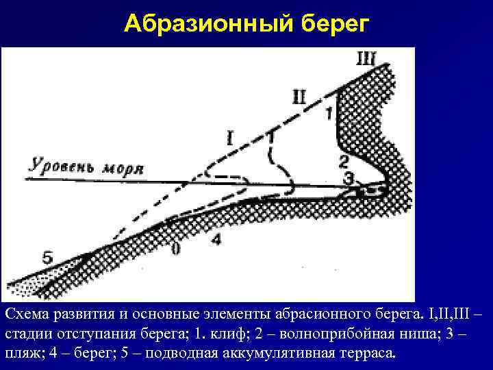 Абразионный берег Схема развития и основные элементы абрасионного берега. I, III – стадии отступания
