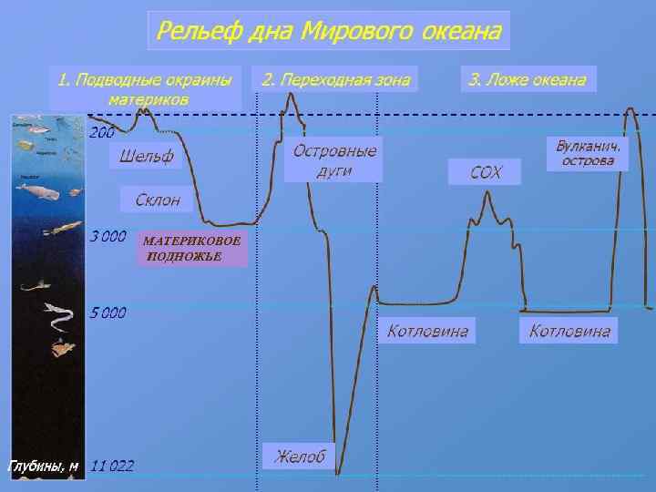 МАТЕРИКОВОЕ ПОДНОЖЬЕ 