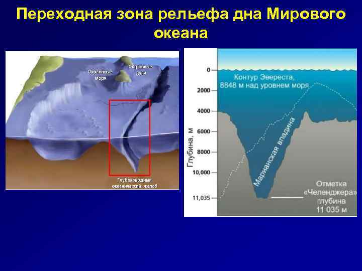 Переходная зона рельефа дна Мирового океана 