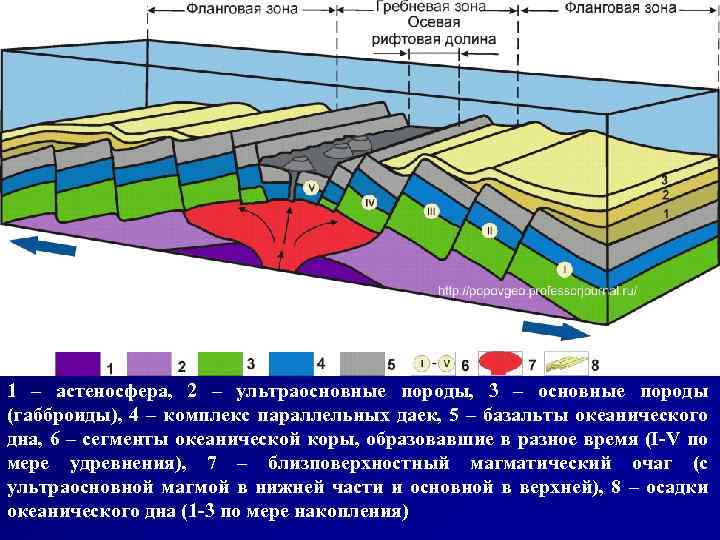 1 – астеносфера, 2 – ультраосновные породы, 3 – основные породы (габброиды), 4 –