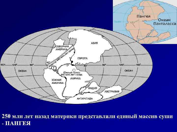 250 млн лет назад материки представляли единый массив суши - ПАНГЕЯ 