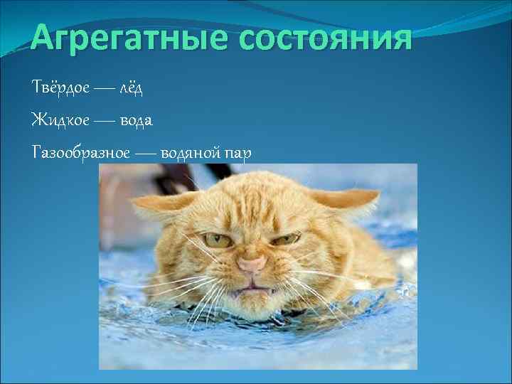 Агрегатные состояния Твёрдое — лёд Жидкое — вода Газообразное — водяной пар 