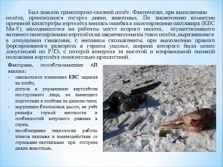Был заявлен транспортно-связной полёт. Фактически, при выполнении полёта, производился отстрел диких животных. По заключению