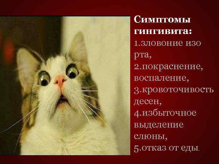 Симптомы гингивита: 1. зловоние изо рта, 2. покраснение, воспаление, 3. кровоточивость десен, 4. избыточное