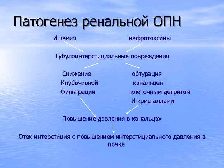 Патогенез ренальной ОПН Ишемия нефротоксины Тубулоинтерстициальные повреждения Снижение Клубочковой Фильтрации обтурация канальцев клеточным детритом