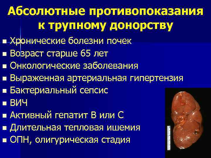 Абсолютные противопоказания к трупному донорству Хронические болезни почек n Возраст старше 65 лет n