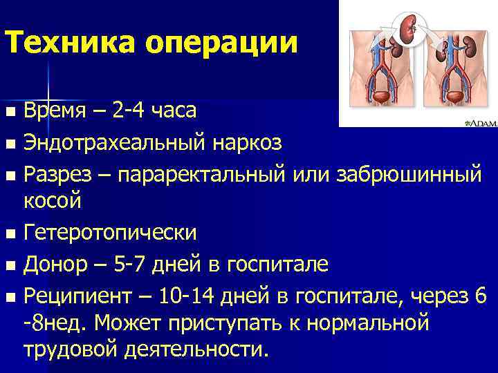 Техника операции Время – 2 -4 часа n Эндотрахеальный наркоз n Разрез – параректальный
