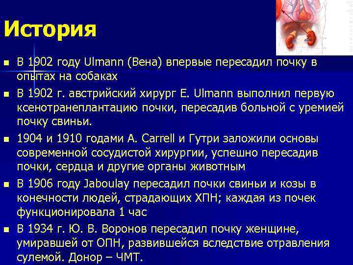 История n n n В 1902 году Ulmann (Вена) впервые пересадил почку в опытах