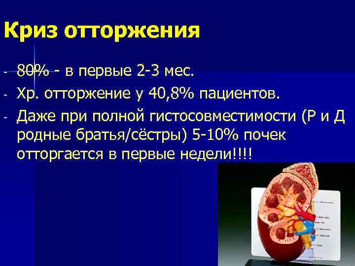 Криз отторжения - 80% - в первые 2 -3 мес. Хр. отторжение у 40,
