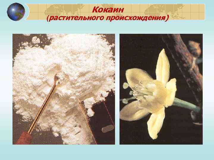 Кокаин (растительного происхождения) 