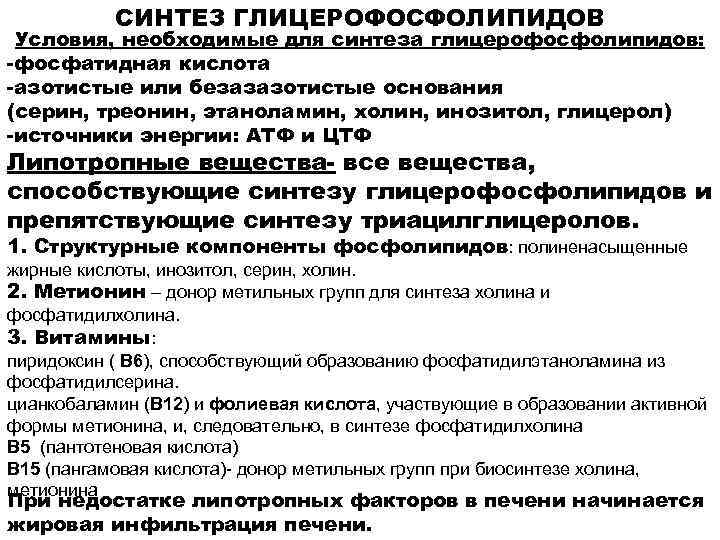 СИНТЕЗ ГЛИЦЕРОФОСФОЛИПИДОВ Условия, необходимые для синтеза глицерофосфолипидов: -фосфатидная кислота -азотистые или безазазотистые основания (серин,