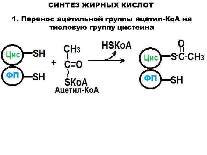 Синтез жирных. Схема синтеза жирных кислот из ацетил КОА. Синтез жирных кислот из ацетил КОА. Синтез жирных кислот биохимия из ацетил-КОА. Синтез олеиновой кислоты из ацетил КОА.