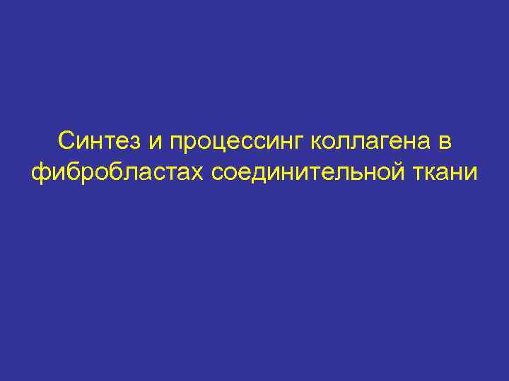 Синтез и процессинг коллагена в фибробластах соединительной ткани 