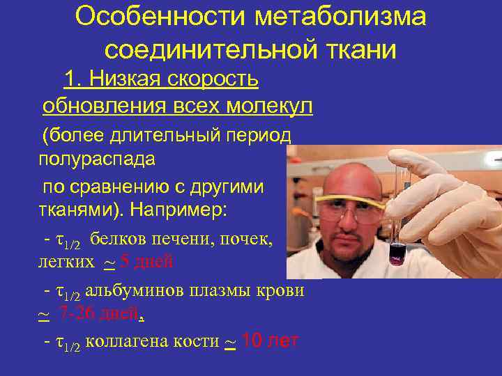 Особенности метаболизма соединительной ткани 1. Низкая скорость обновления всех молекул (более длительный период полураспада