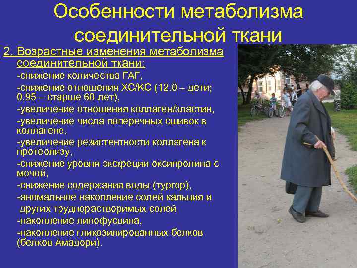 Особенности метаболизма соединительной ткани 2. Возрастные изменения метаболизма соединительной ткани: -снижение количества ГАГ, -снижение