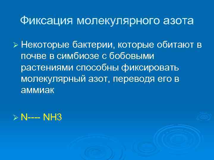 Фиксация молекулярного азота Ø Некоторые бактерии, которые обитают в почве в симбиозе с бобовыми