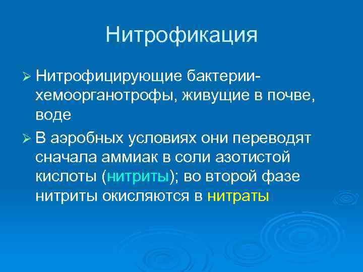 Нитрофикация Ø Нитрофицирующие бактерии- хемоорганотрофы, живущие в почве, воде Ø В аэробных условиях они