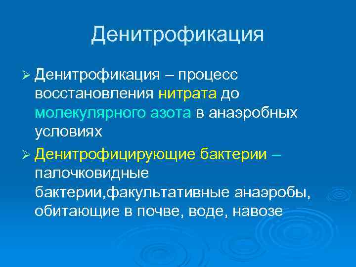 Денитрофикация Ø Денитрофикация – процесс восстановления нитрата до молекулярного азота в анаэробных условиях Ø