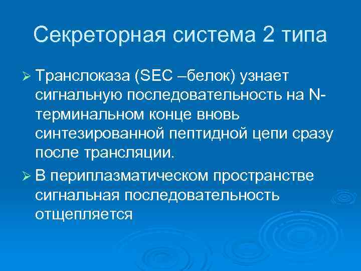 Секреторная система 2 типа Ø Транслоказа (SEC –белок) узнает сигнальную последовательность на Nтерминальном конце