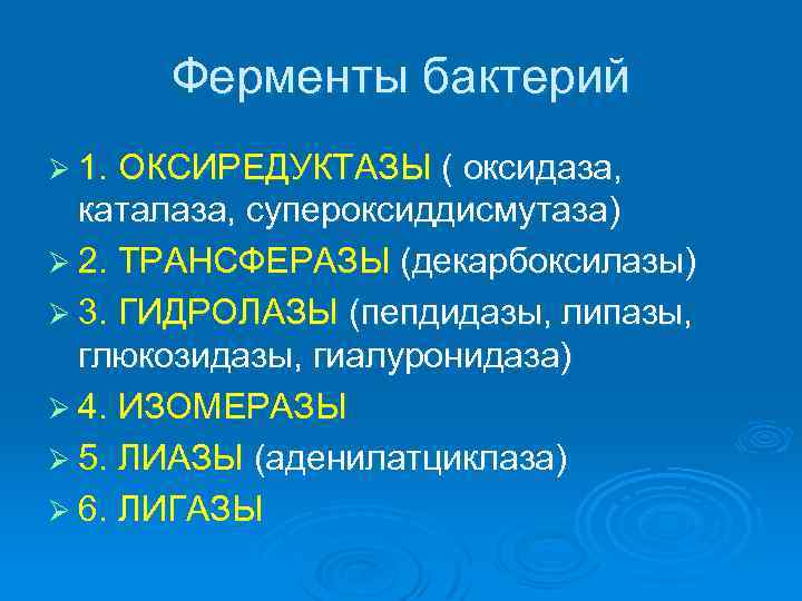 Ферменты бактерий Ø 1. ОКСИРЕДУКТАЗЫ ( оксидаза, каталаза, супероксиддисмутаза) Ø 2. ТРАНСФЕРАЗЫ (декарбоксилазы) Ø