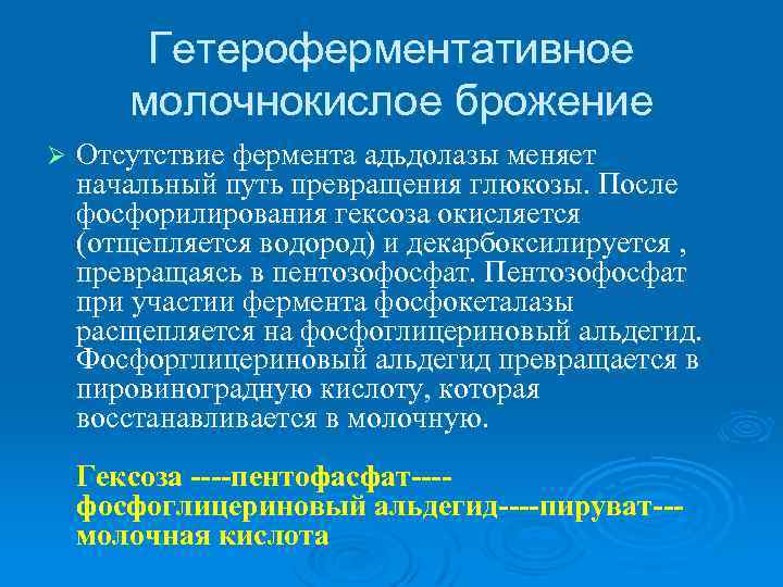 Гетероферментативное молочнокислое брожение Ø Отсутствие фермента адьдолазы меняет начальный путь превращения глюкозы. После фосфорилирования