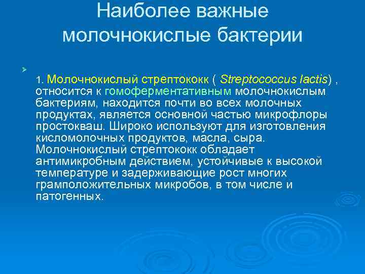 Наиболее важные молочнокислые бактерии Ø 1. Молочнокислый стрептококк ( Streptococcus lactis) , относится к