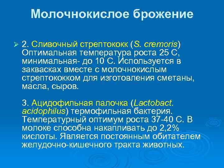 Молочнокислое брожение Ø 2. Сливочный стрептококк (S. сremoris) Оптимальная температура роста 25 С, минимальная